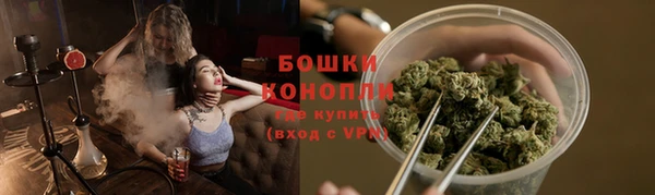 трава Абаза