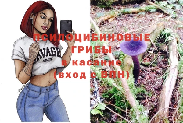 трава Абаза