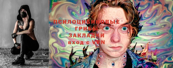 трава Абаза