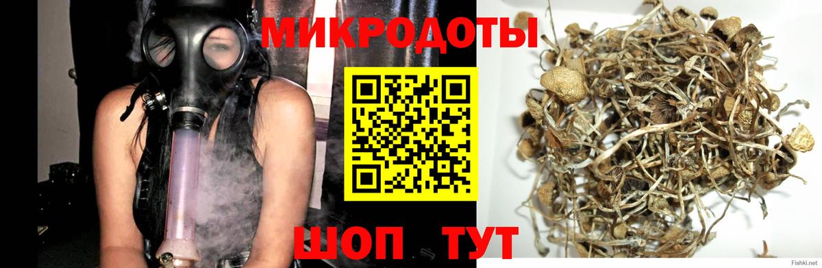 Псилоцибиновые грибы ЛСД Янаул